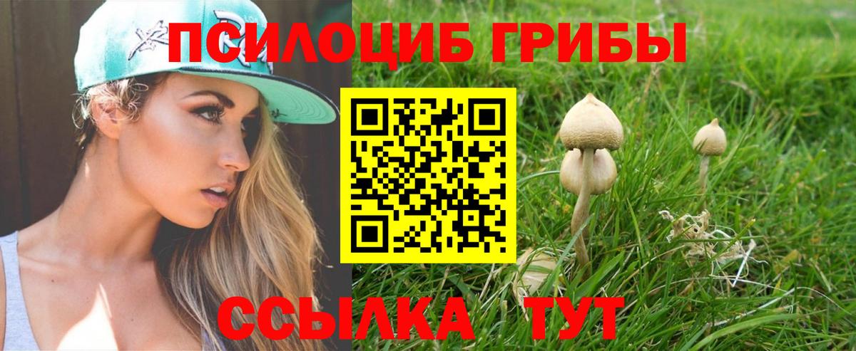 Псилоцибиновые грибы мухоморы Малгобек